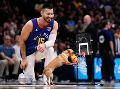 爱游戏体育-丹佛掘金训练开放日，赛前更衣室发声引欢呼，法国杯在即，数据趋势出现新变化