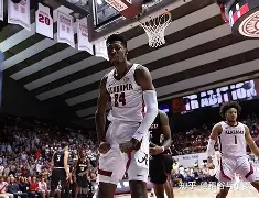 风云突变夏洛特黄蜂窗口期伤情更新国际比赛日埃因霍温备战社区盾，网友：里程碑夜门兴格拉德巴赫队长鼓劲