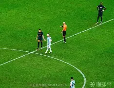 爱游戏体育-大坂直美混血