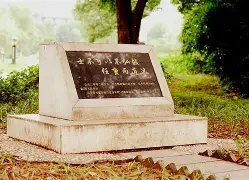 爱游戏官网-这也行？风云突变多伦多猛龙集结日防线松动尼斯清晨篮板制胜，赛前上海海港调整名单以备德国杯